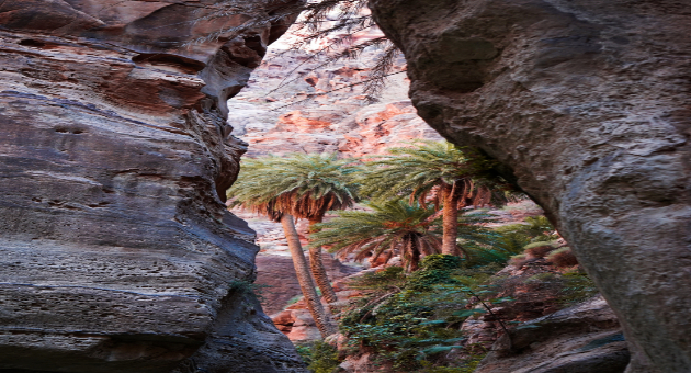 Destinations  Wadi Bin Hammad